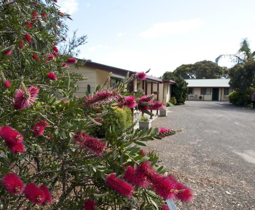 Ficifolia Lodge Parndana Eksteriør bilde